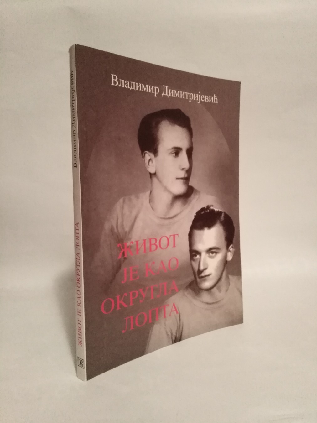Život je kao okrugla lopta — Vladimir Dimitrijević