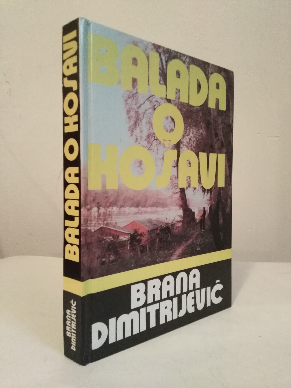 Balada o košavi — Brana Dimitrijević