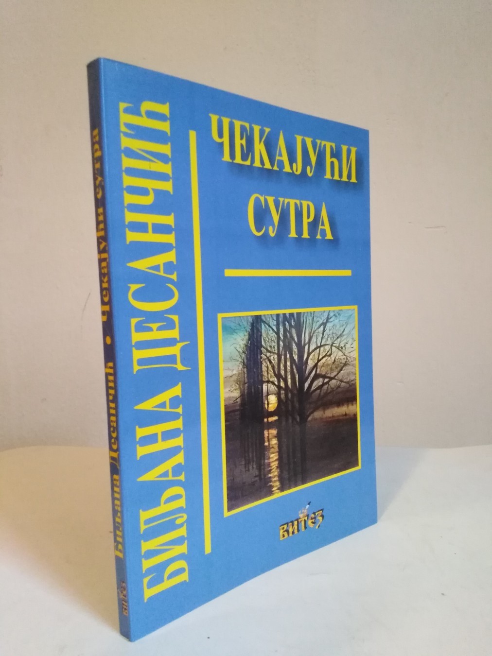 Čekajući sutra — Biljana Desančić