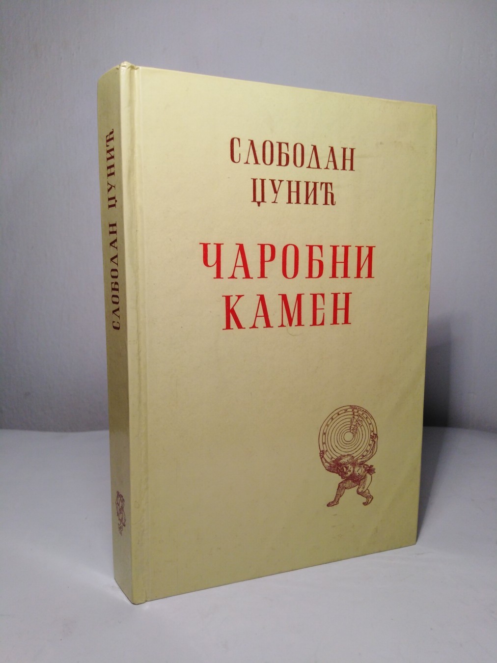 Čarobni kamen — Slobodan Džunić