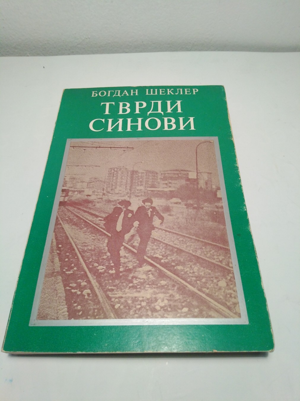 Tvrdi sinovi — Bogdan Šekler