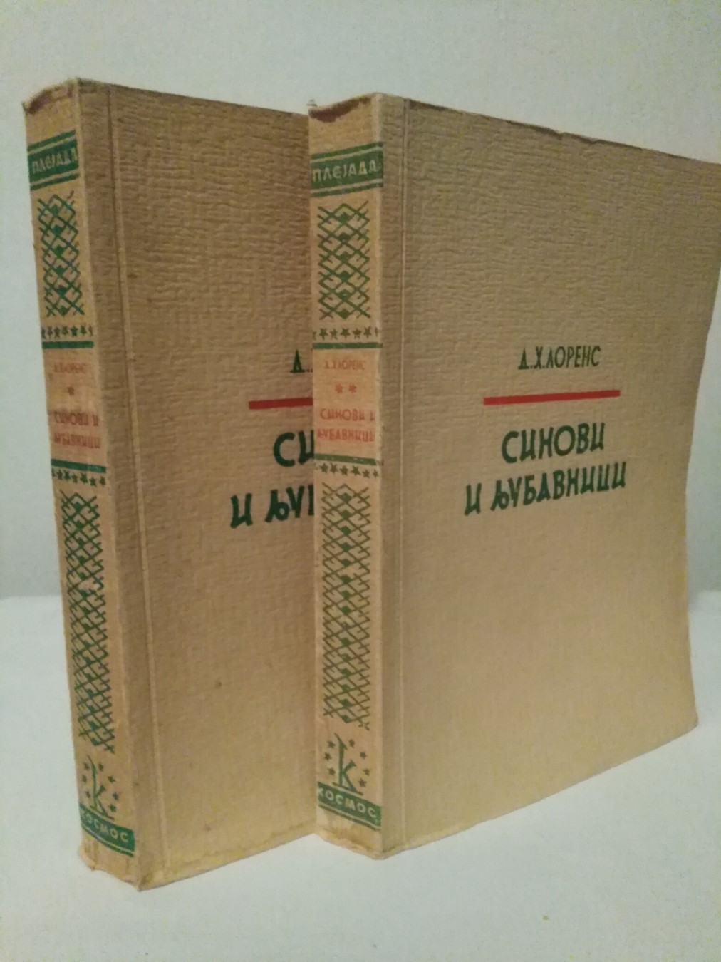 Sinovi i ljubavnici — D. H. Lorens