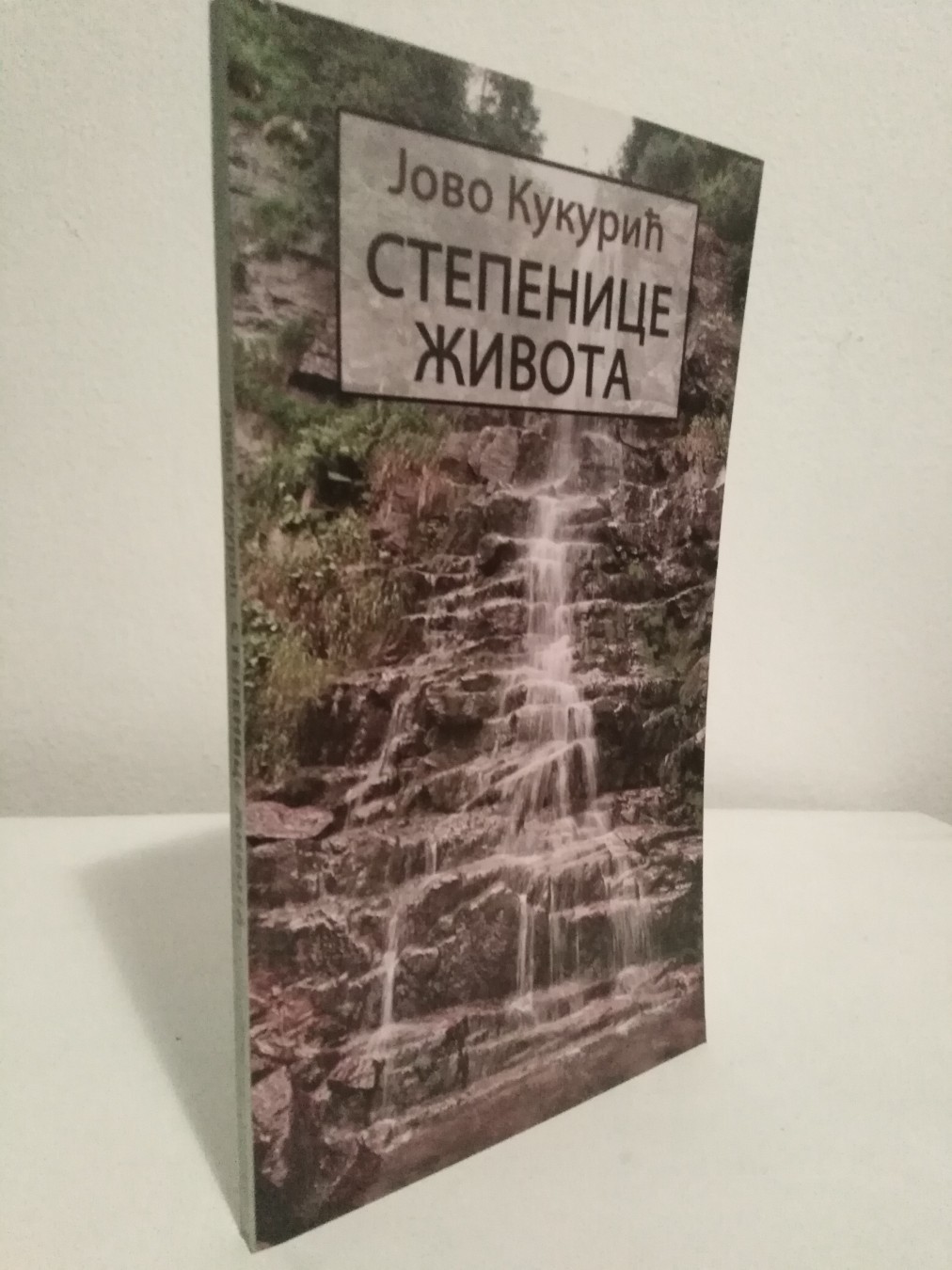 Stepenice života — Jovo Kukurić