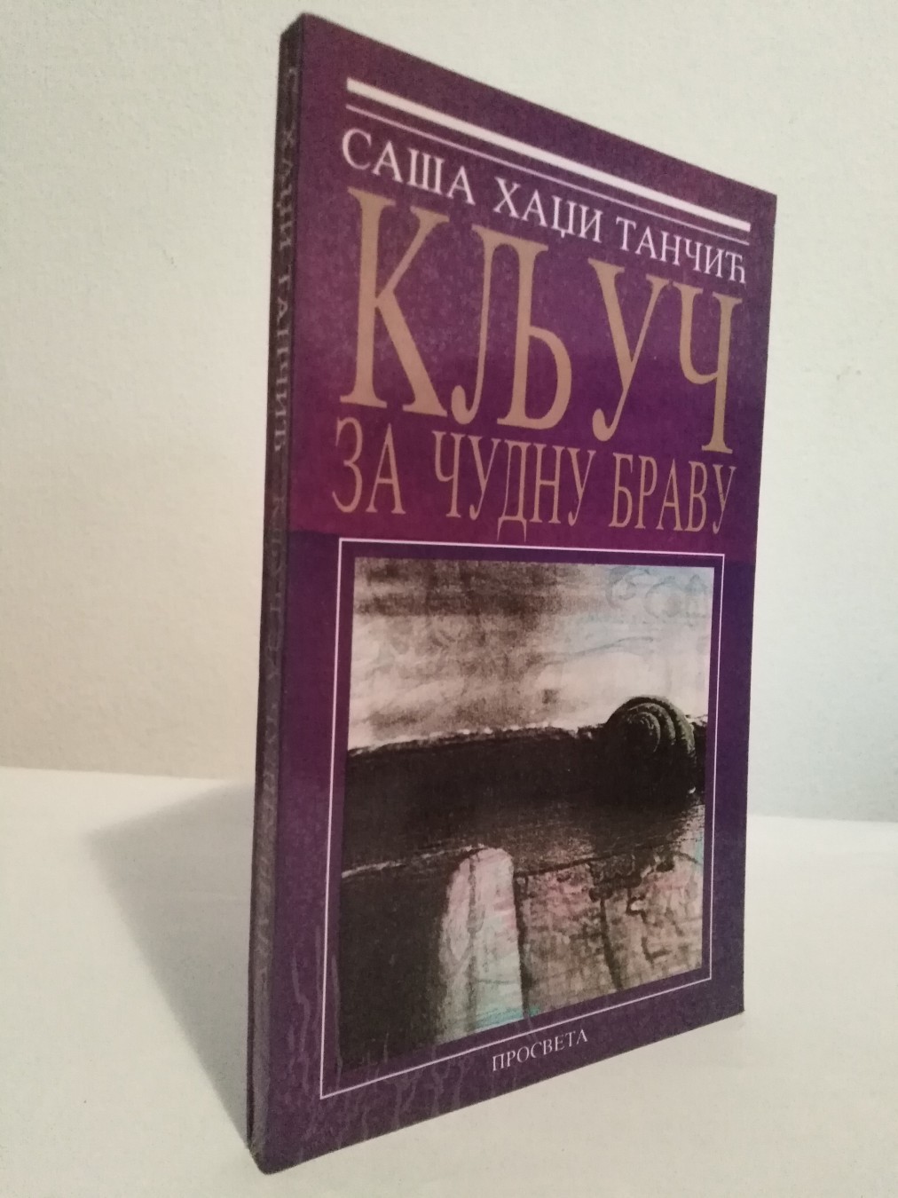 Ključ za čudnu bravu — Saša Hadži Tančić