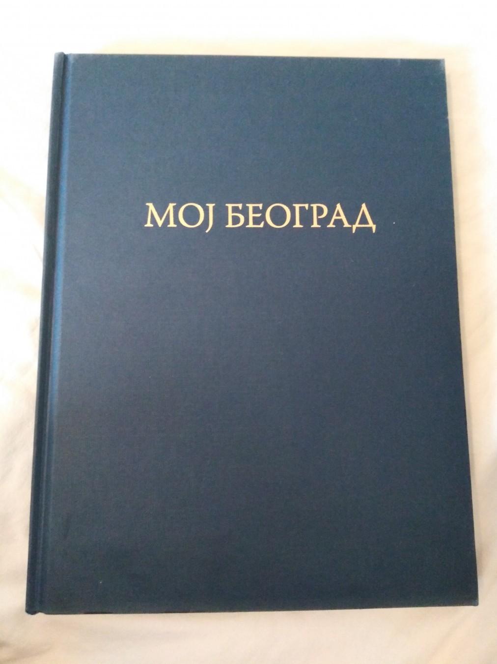 Moj Beograd — Dragoljub Zamurović