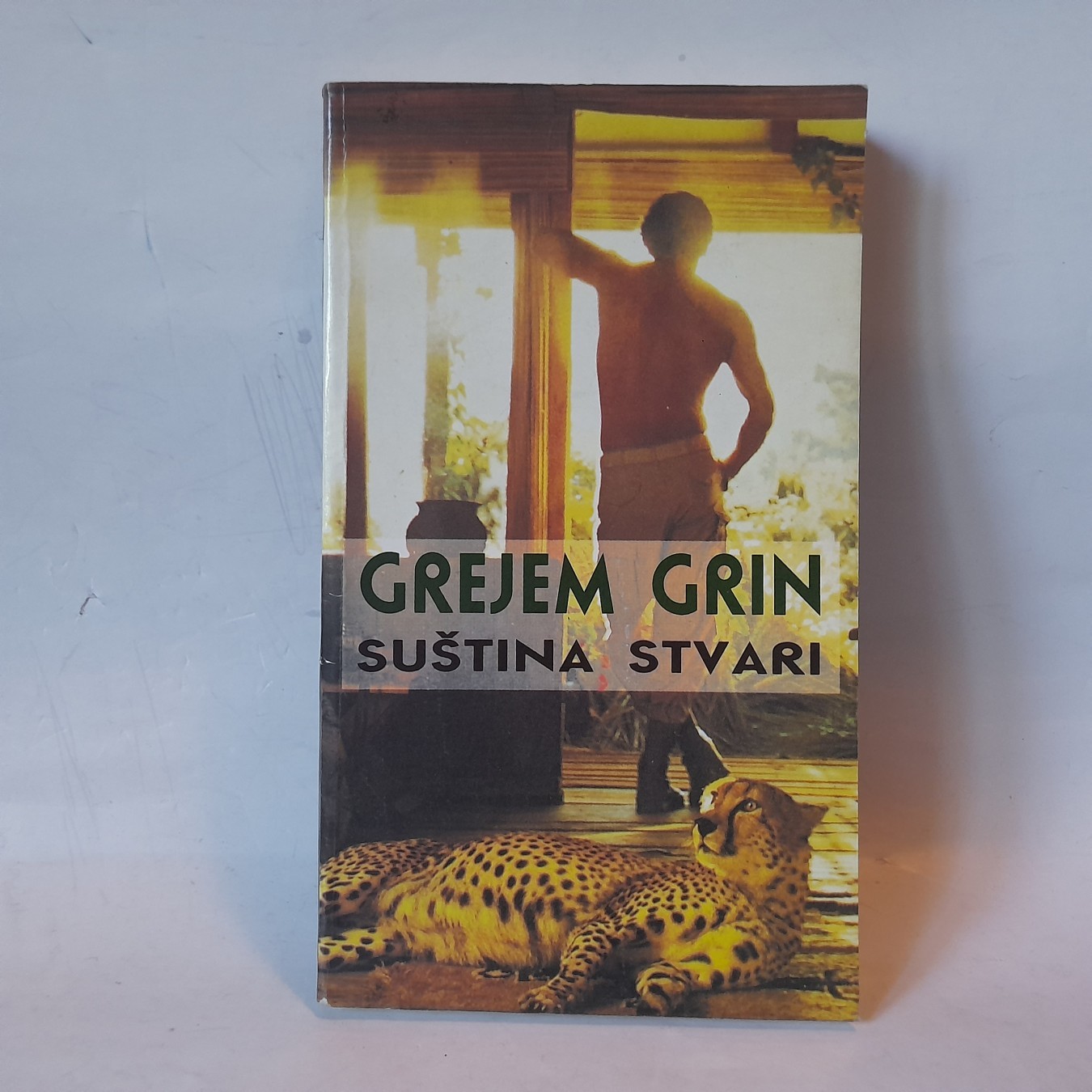 Suština stvari — Grejem Grin