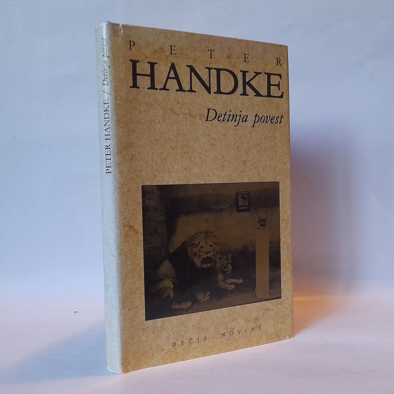Detinja povest — Peter Handke