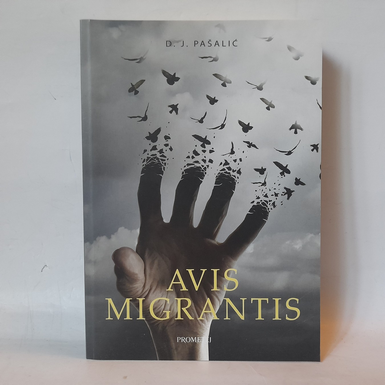 Avis migrantis — D. J. Pašalić