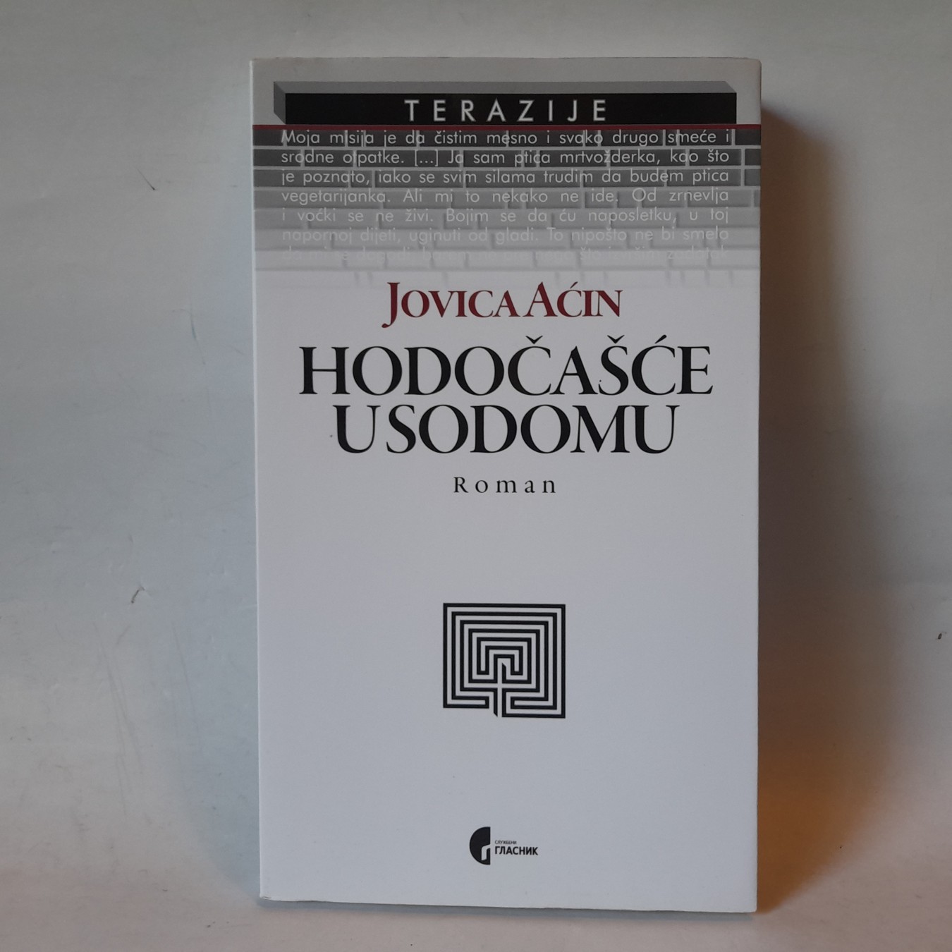 Hodočašće u Sodomu — Jovica Aćin