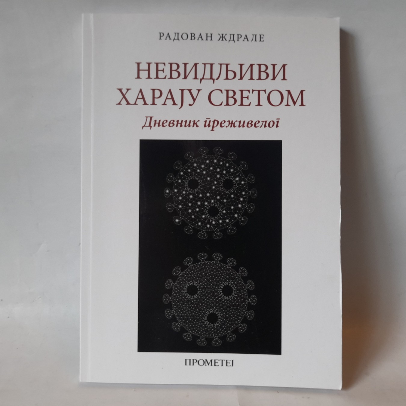 Nevidljivi haraju svetom — dnevnik preživelog — Grupa autora