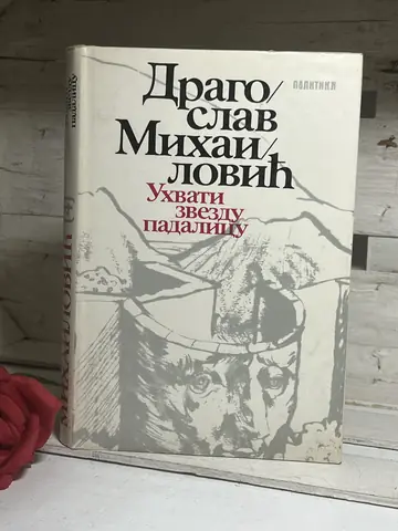 Uhvati zvezdu padalicu — Dragoslav Mihailović, polovna knjiga