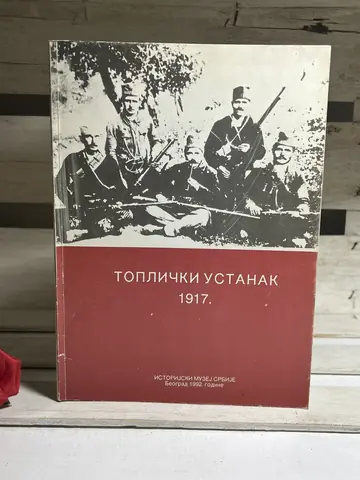 Toplicki ustanak 1917., polovna knjiga