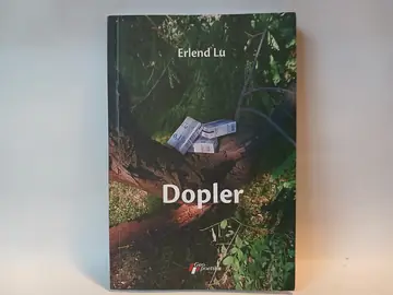 DOPLER Erlend Lu — Erlend Lu, polovna knjiga