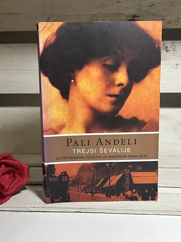 Pali anđeli Trejsi Ševalije — Trejsi Ševalije, polovna knjiga