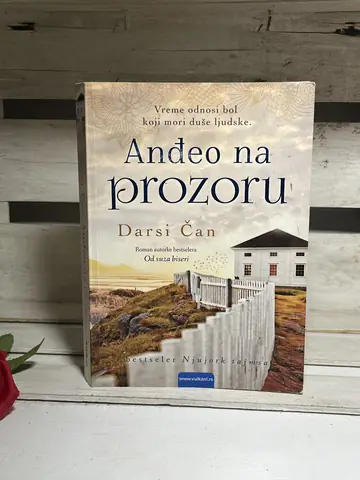 Darsi Čan - Anđeo na prozoru — Darsi Čan, polovna knjiga