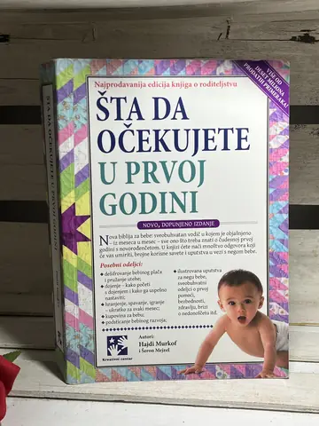 Šta da očekujete u prvoj godini, polovna knjiga