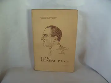 Naš veliki kralj — drugo izdanje — Aleksandar R. Dimitrijević, divizijski đeneral u penziji, antikvarna knjiga