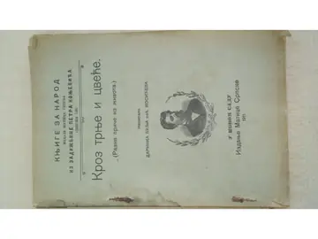 KROZ TRNJE I CVEĆE — razne priče iz života (Matica srpska, Knjige za narod 140, 1911) — Darinka Bulja, rođ. Kostić, antikvarna knjiga