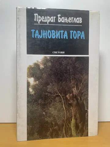 Tajnovita gora — Predrag Banjeglav, polovna knjiga