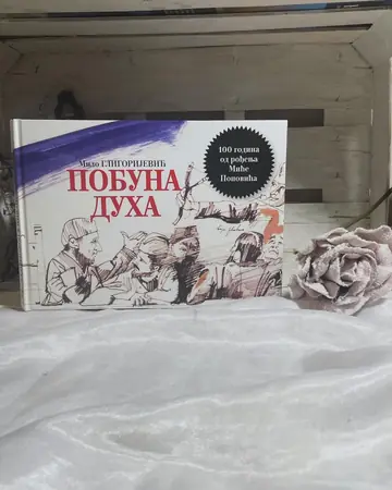 Pobuna duha — Milo Gligorijević, polovna knjiga