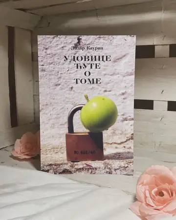 Udovice ćute o tome — Lazar Kaurin, polovna knjiga