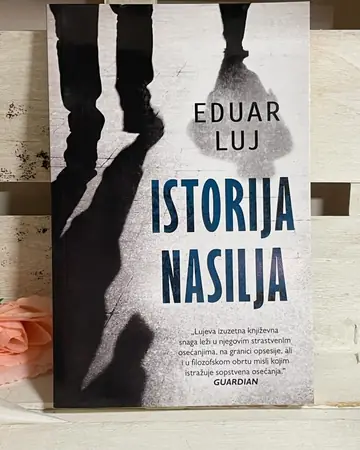 Istorija nasilja — Eduar Luj, polovna knjiga