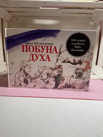 Pobuna duha — Mića Popović, polovna knjiga