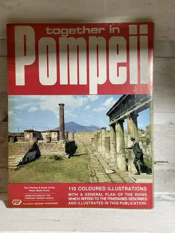 Together in Pompeii, polovna knjiga