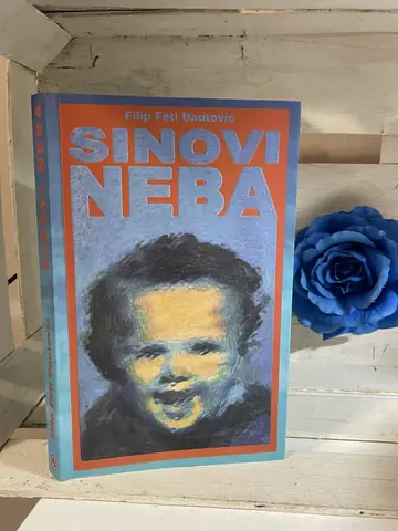 Sinovi neba — Filip Feti Dutović, polovna knjiga