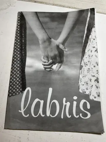 Labris — lezbejske novine, polovna knjiga