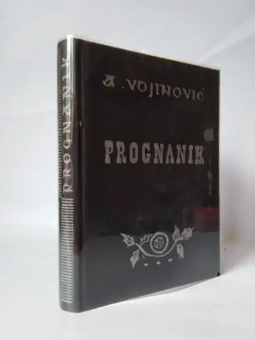 Prognanik — Aleksandar Vojinović, polovna knjiga