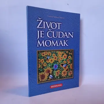 Život je čudan momak — Violeta Salkica Aleksić, polovna knjiga
