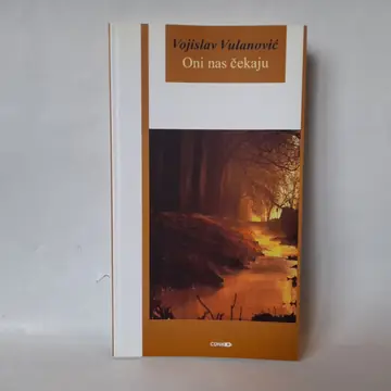 Oni nas čekaju — Vojislav Vulanović, polovna knjiga