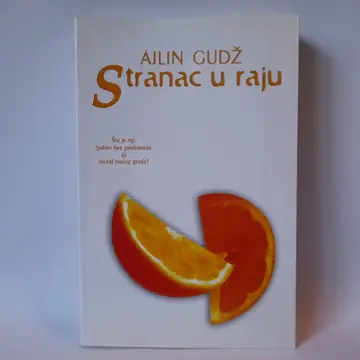 Stranac u raju — Ajlin Gudž, polovna knjiga