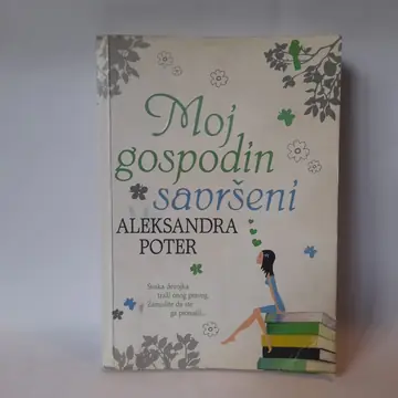 Moj gospodin savršeni — Aleksandra Porter, polovna knjiga