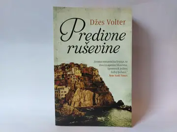 Predivne rusevine — Džes Volter, polovna knjiga
