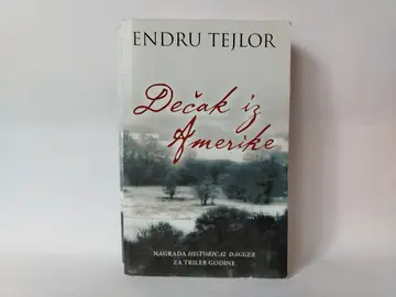 Dečak iz amerike — Endrju Tejlor, polovna knjiga