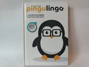 Pingulingo — Aron Stoun, polovna knjiga