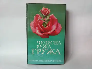 Čudesna ruža gruža — Dobrica Erić, polovna knjiga