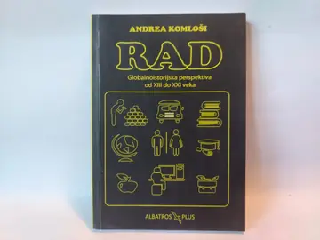 Rad — globalnoistorijska perspektiva od XIII do XXI veka — Grupa autora, polovna knjiga