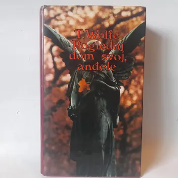 Pogledaj dom svoj, anđele — Tomas Vulf, polovna knjiga