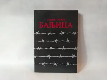Banjica — Predrag Pejić, polovna knjiga