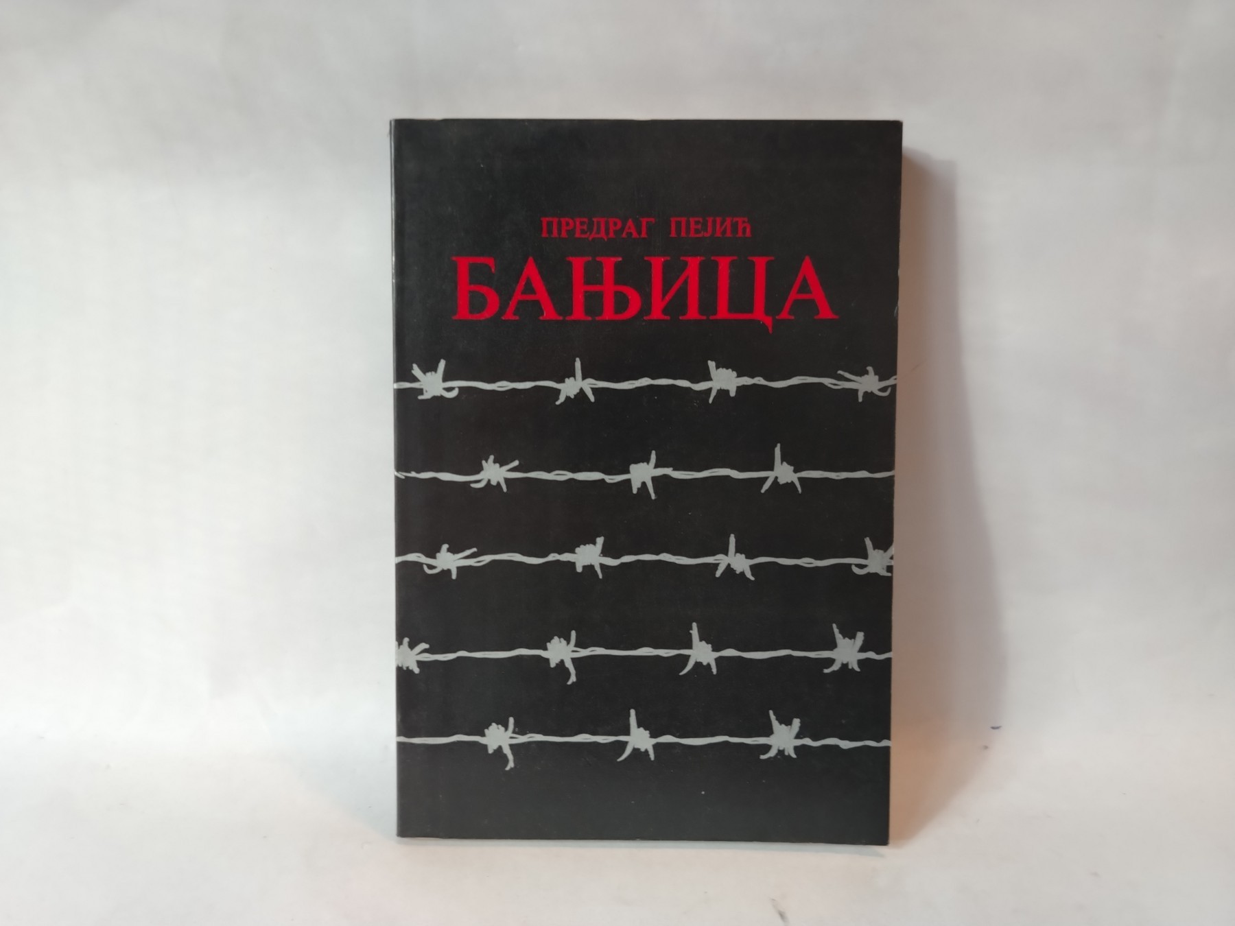 Banjica — Predrag Pejić