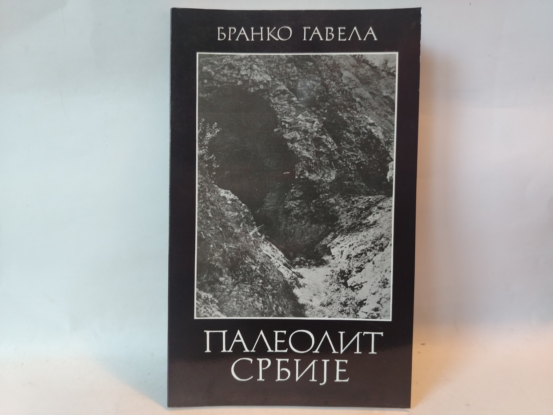 Paleolit Srbije — Branko Gavela